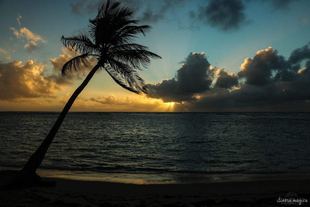 Lever de soleil paradisiaque.