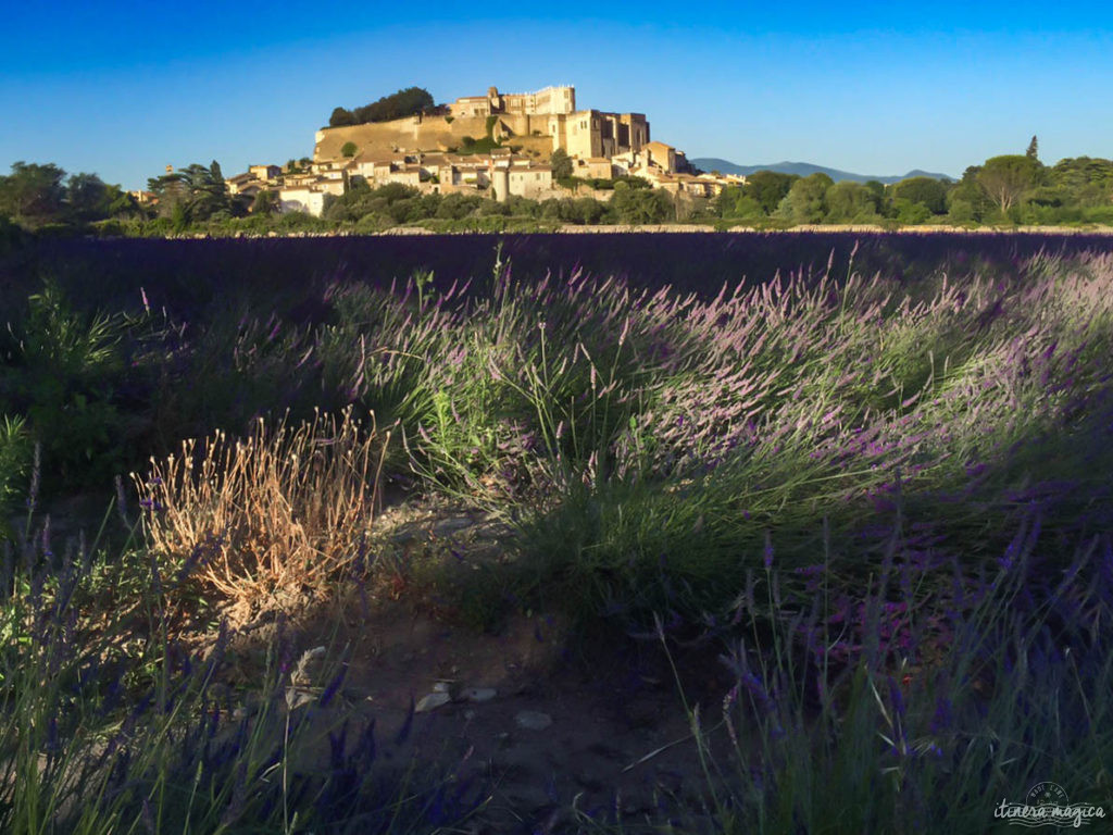 Que faire dans la Drôme? Visiter Grignan, le château de Suze-la-Rousse, la Garde Adhémar. Les châteaux de la Drôme provençale sont des secrets de Provence.