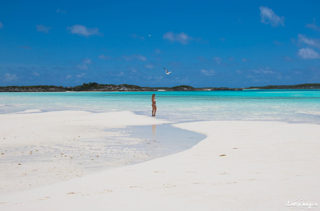 Pourquoi et comment aller aux Bahamas ? Quelle île choisir ? Guide du pays de Pirate des Caraïbes