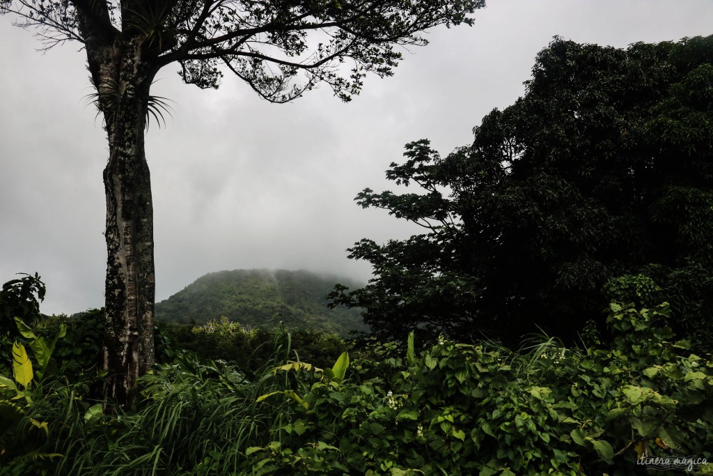 La Souffrière, le volcan de la Guadeloupe, perpétuellement plongée dans la brume.