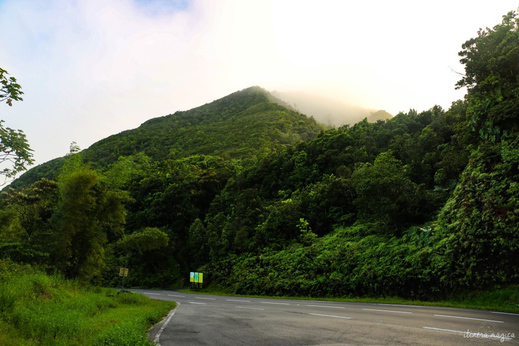 Route de la traversée, ou le "Monde perdu" au coeur de la Guadeloupe.