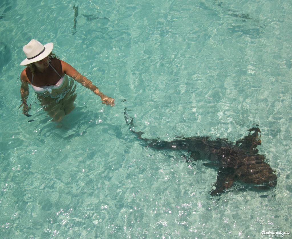 L'Atlantis à Nassau, Bahamas, ou le plus fabuleux hôtel de ma vie. Récit et conseils pour devenir une petite sirène. Atlantis bahamas blog