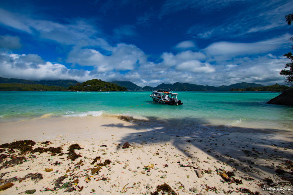 Seychelles: les plus belles plages du monde, des paysages paradisiaques, des tortues géantes, une faune et une flore uniques. Découvrez le paradis dans l'océan Indien !