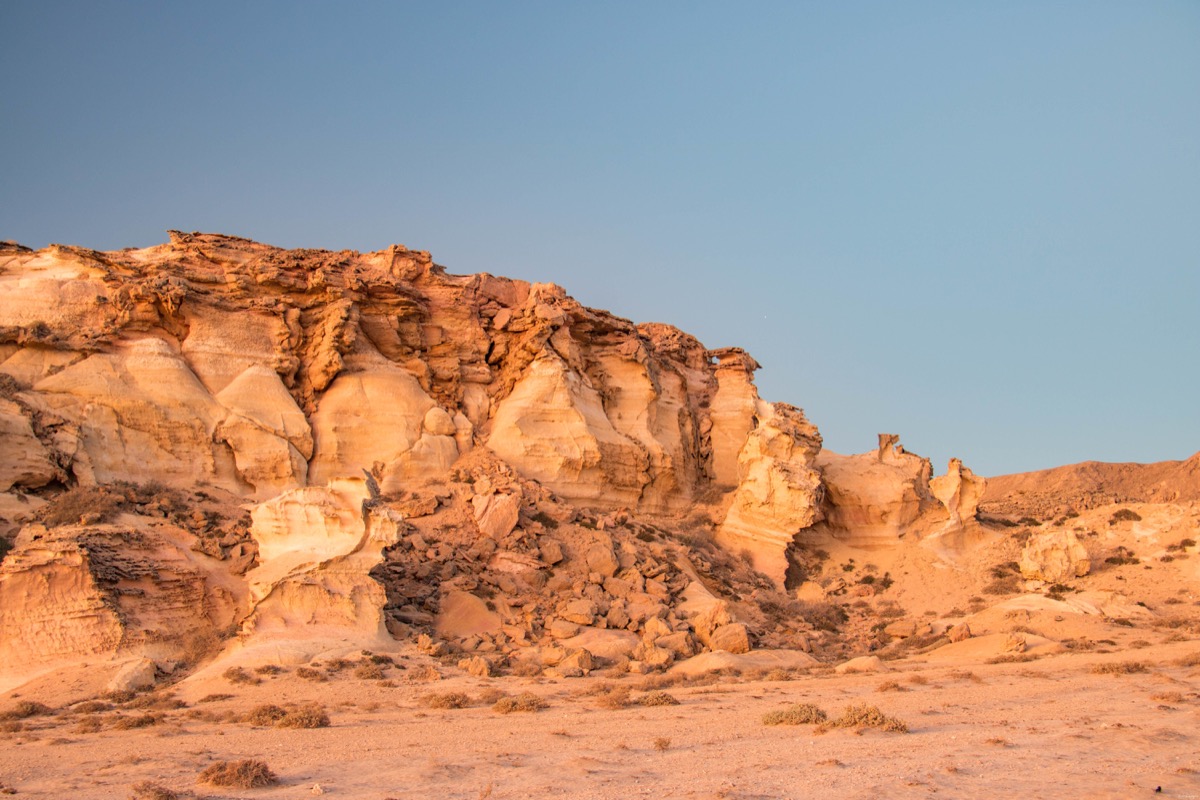 réserve tortues oman ras al jinz hotel