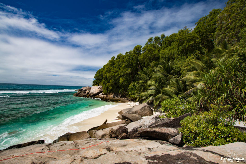 Seychelles: les plus belles plages du monde, des paysages paradisiaques, des tortues géantes, une faune et une flore uniques. Découvrez le paradis dans l'océan Indien !