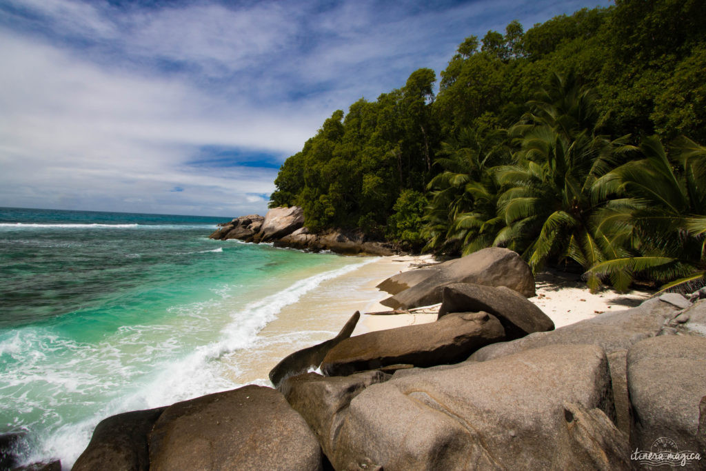 Seychelles: les plus belles plages du monde, des paysages paradisiaques, des tortues géantes, une faune et une flore uniques. Découvrez le paradis dans l'océan Indien !