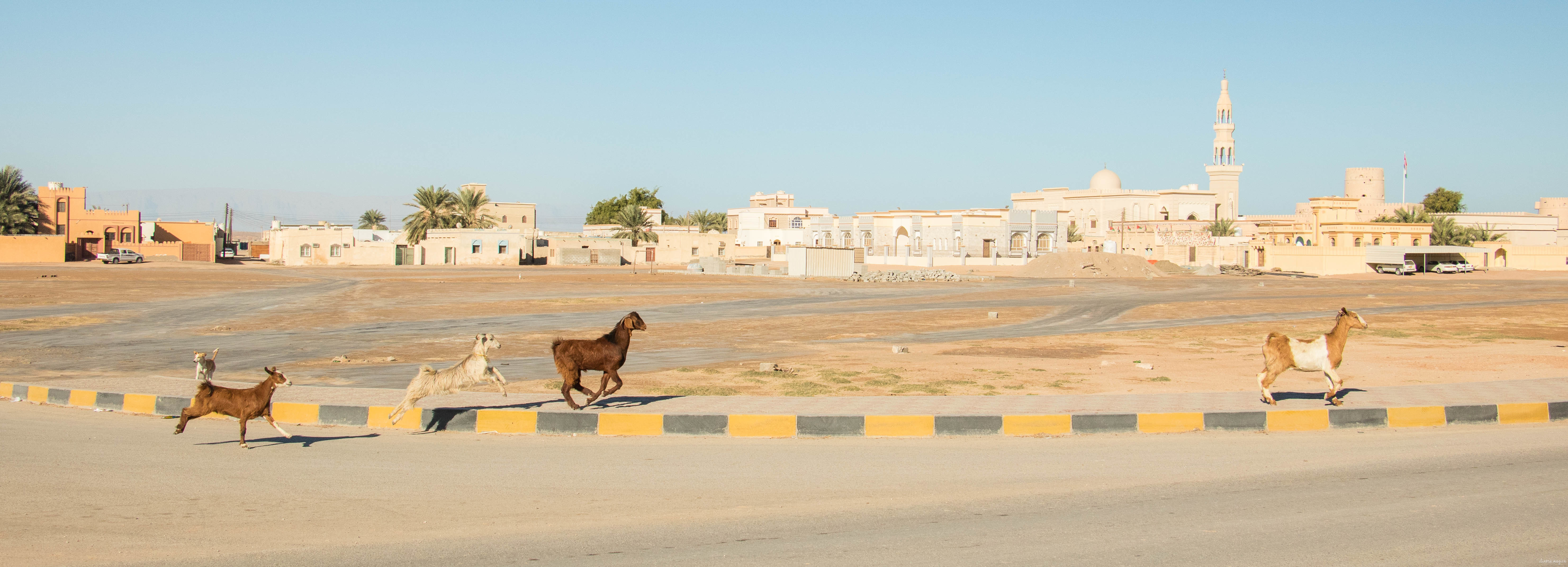 Les plus beaux paysages d'Oman : mes incontournables pour organiser votre voyage à Oman, la perle du Moyen Orient.