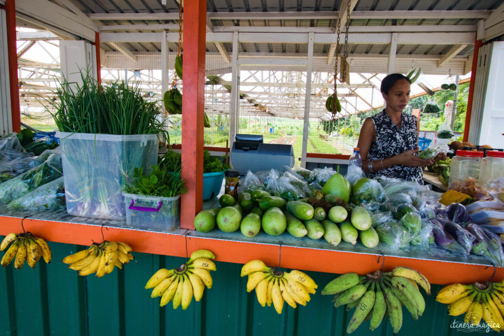 Vous rêvez d'un voyage aux Seychelles ? Je vous livre les clefs du paradis. Itinéraires, excursions, hôtels, astuces, bons plans sur Itinera Magica.