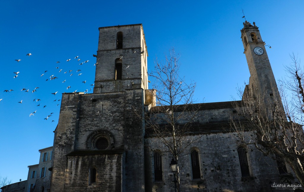 Eglise de Forcalquier dans une tempête d'ailes.