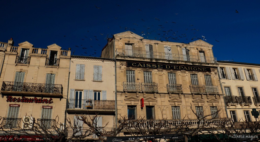 Nuées d'oiseaux sur les façades rétro.