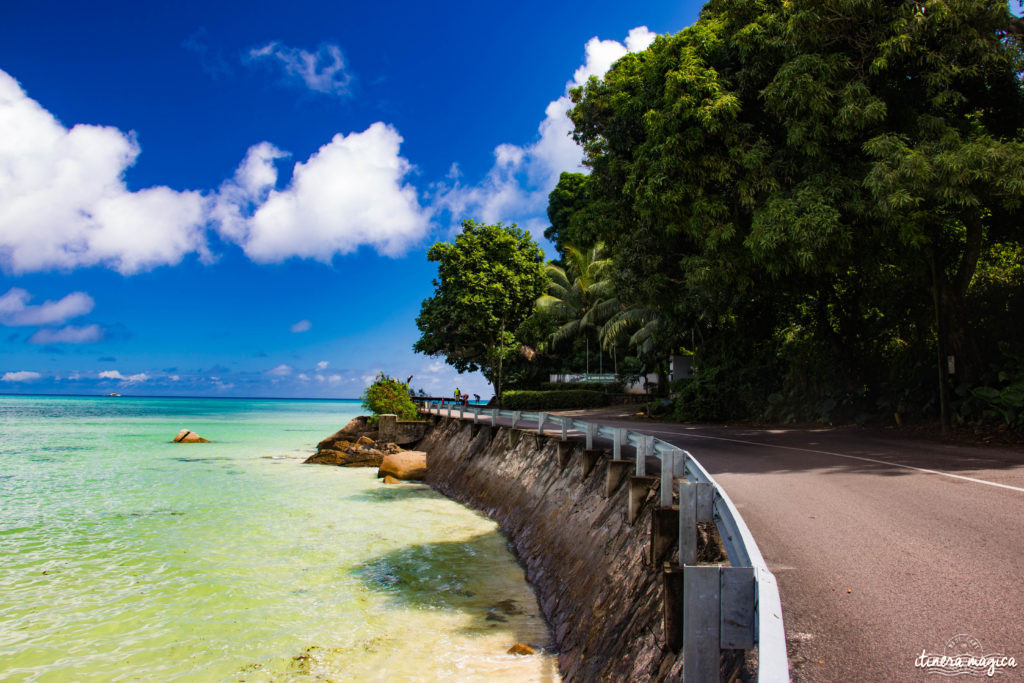 Seychelles: les plus belles plages du monde, des paysages paradisiaques, des tortues géantes, une faune et une flore uniques. Découvrez le paradis dans l'océan Indien !