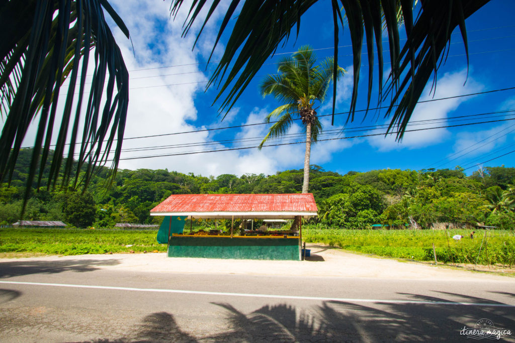 Vous rêvez d'un voyage aux Seychelles ? Je vous livre les clefs du paradis. Itinéraires, excursions, hôtels, astuces, bons plans sur Itinera Magica.