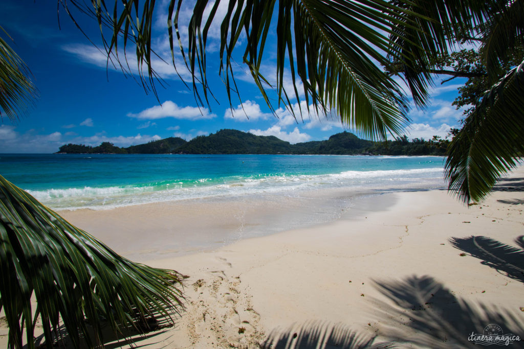 Seychelles: les plus belles plages du monde, des paysages paradisiaques, des tortues géantes, une faune et une flore uniques. Découvrez le paradis dans l'océan Indien !