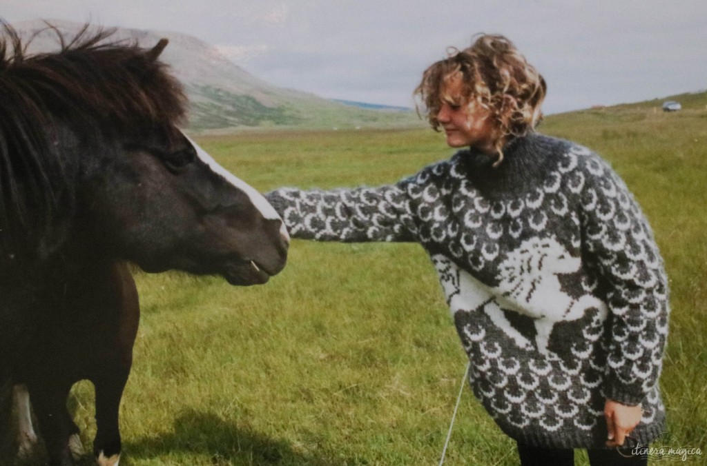 Le pull, le cheval et moi.