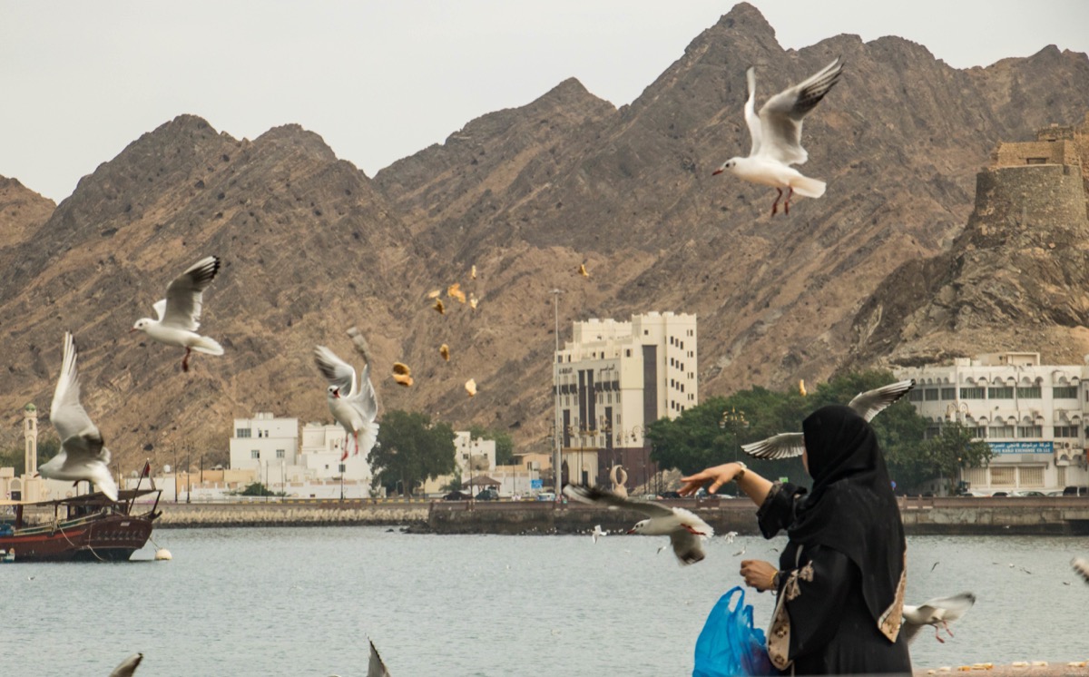 Les plus beaux paysages d'Oman : mes incontournables pour organiser votre voyage à Oman, la perle du Moyen Orient.