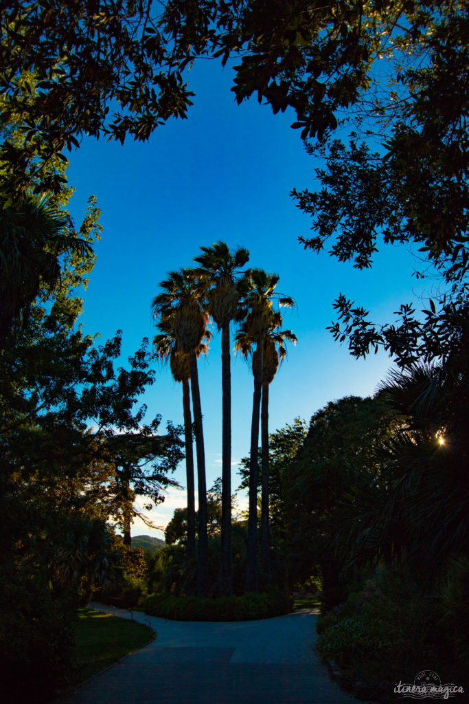 Quand la nuit tombe, Hyères est encore plus belle... Découvrez la ville du crépuscule à la nuit étoilée, dans les rues de la citadelle médiévale et au bord de l'eau.