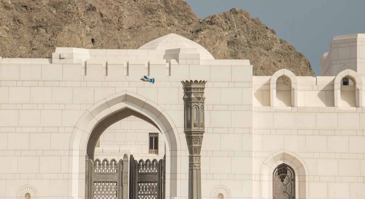 Les plus beaux paysages d'Oman : mes incontournables pour organiser votre voyage à Oman, la perle du Moyen Orient.