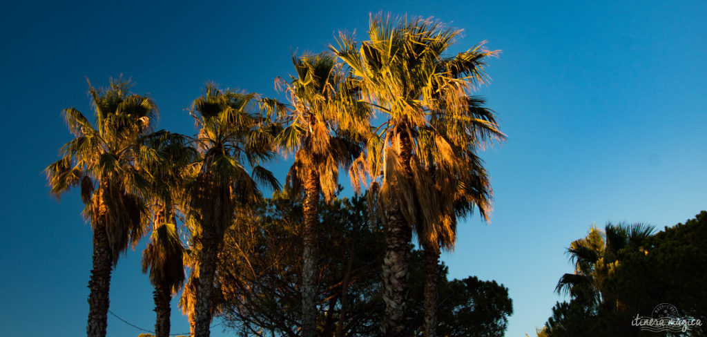 Quand la nuit tombe, Hyères est encore plus belle... Découvrez la ville du crépuscule à la nuit étoilée, dans les rues de la citadelle médiévale et au bord de l'eau.