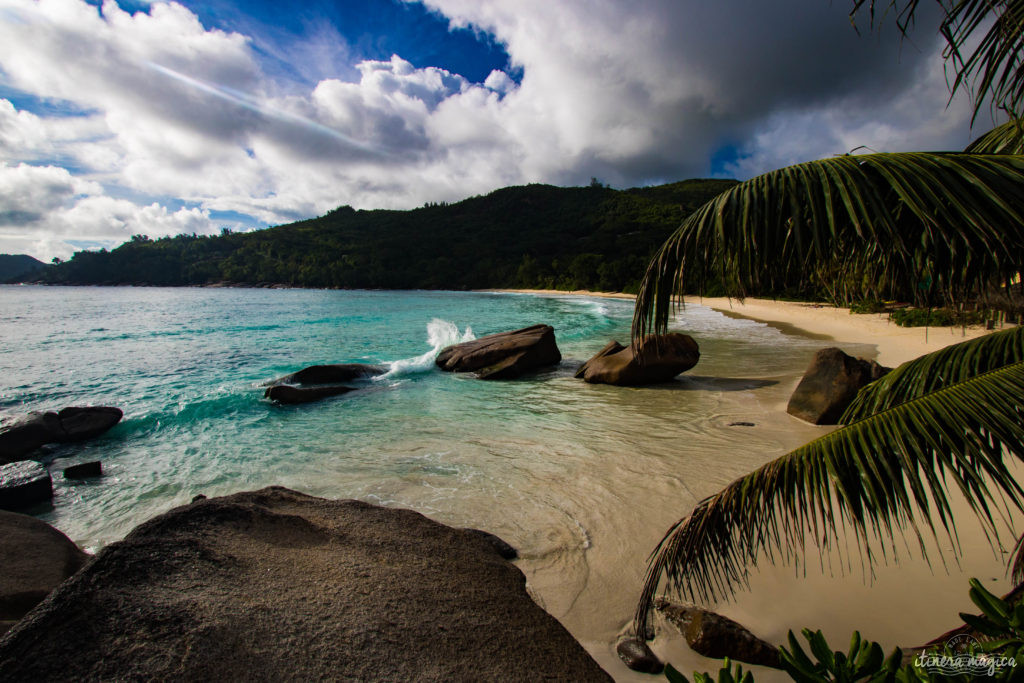 Seychelles: les plus belles plages du monde, des paysages paradisiaques, des tortues géantes, une faune et une flore uniques. Découvrez le paradis dans l'océan Indien !