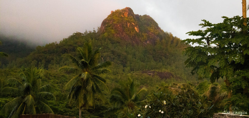 Vous rêvez d'un voyage aux Seychelles ? Je vous livre les clefs du paradis. Itinéraires, excursions, hôtels, astuces, bons plans sur Itinera Magica.