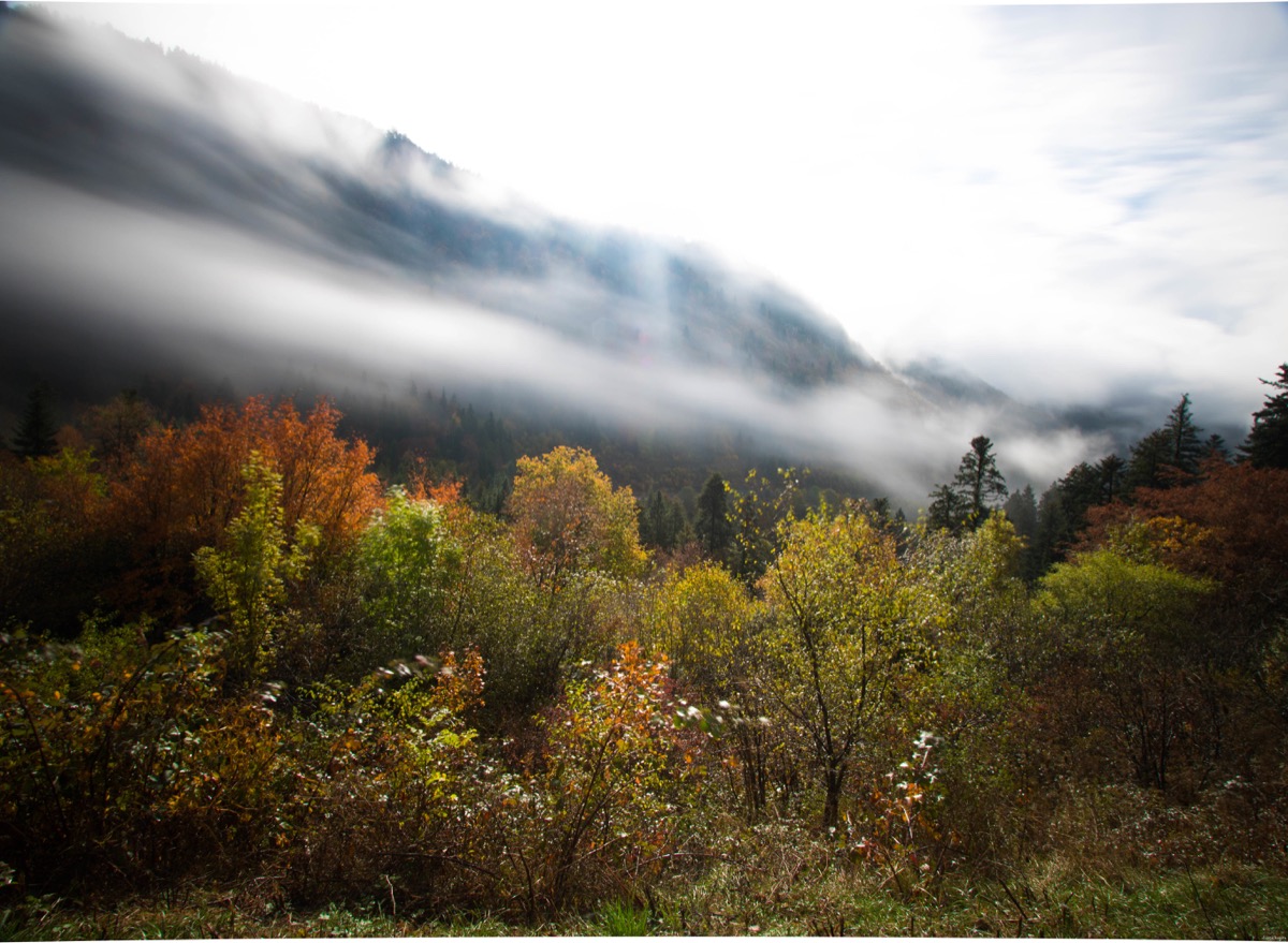 Brume à Nantua