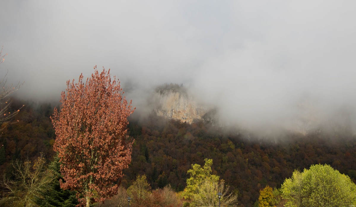 Brume à Nantua