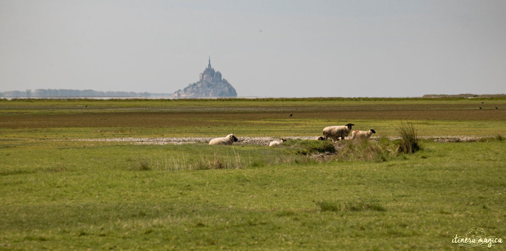 Découvrez les légendes et les plus beaux points de vue sur le Mont Saint Michel.