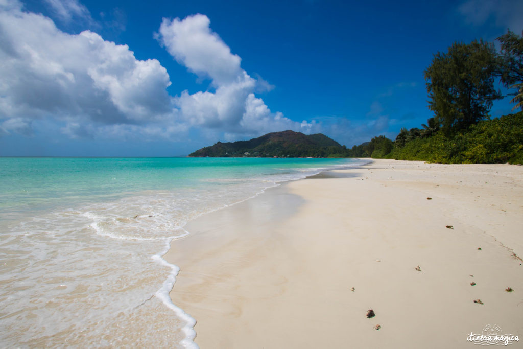 Seychelles: les plus belles plages du monde, des paysages paradisiaques, des tortues géantes, une faune et une flore uniques. Découvrez le paradis dans l'océan Indien !