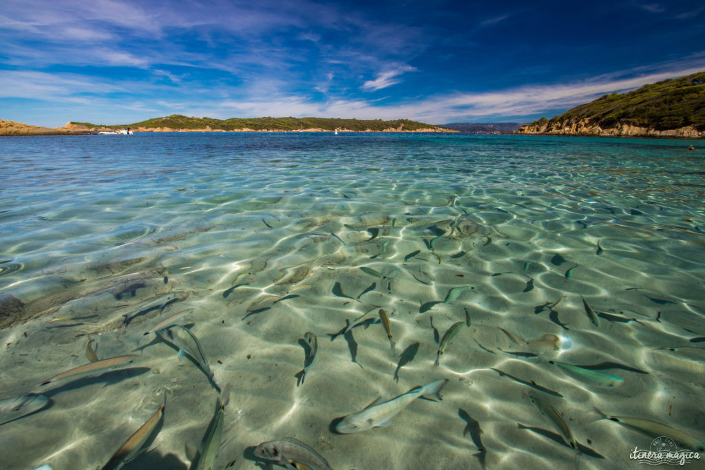 Les plus belles excursions en bateau depuis Hyères : découvrez Port-Cros ou Porquerolles, partez observer les dauphins, dénichez des plages secrètes, savourez tous les charmes de la Côte d'Azur. Un guide complet sur Itinera Magica