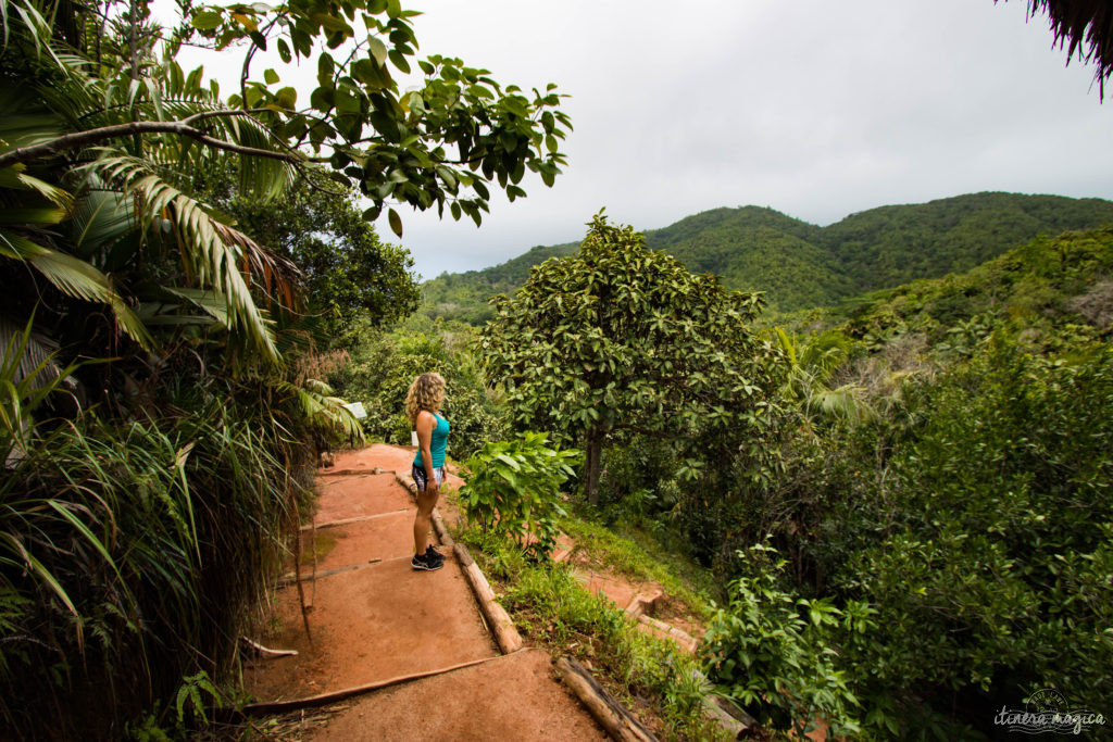 Vous rêvez d'un voyage aux Seychelles ? Je vous livre les clefs du paradis. Itinéraires, excursions, hôtels, astuces, bons plans sur Itinera Magica.