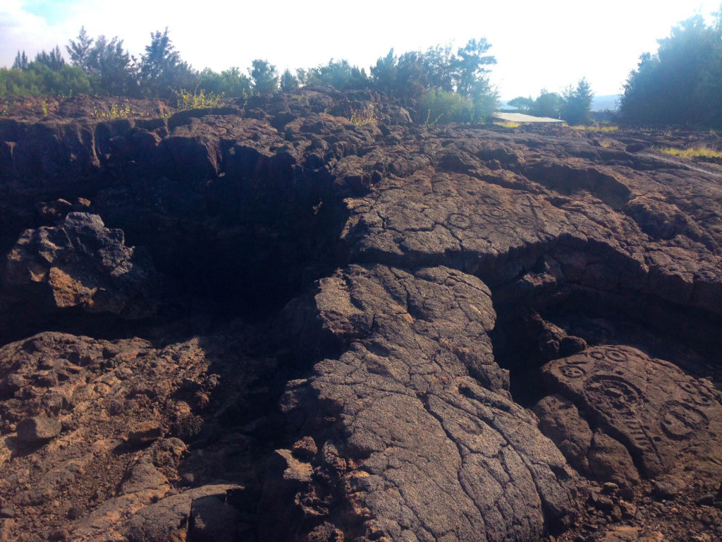 Champ de pétroglyphes de Waikoloa, sur la grande île - les pétroglyphes sont un témoignage émouvant de la présence séculaire des Hawaïens sur l'île. Ces dessins, symboles et figures tracés dans la lave racontent un univers qui nous demeure à jamais inaccessible. 