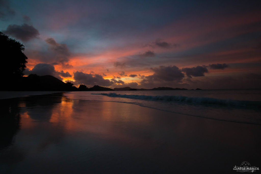 Seychelles: les plus belles plages du monde, des paysages paradisiaques, des tortues géantes, une faune et une flore uniques. Découvrez le paradis dans l'océan Indien !