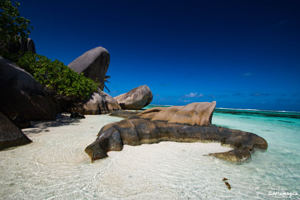 Vous rêvez d'un voyage aux Seychelles ? Je vous livre les clefs du paradis. Itinéraires, excursions, hôtels, astuces, bons plans sur Itinera Magica.