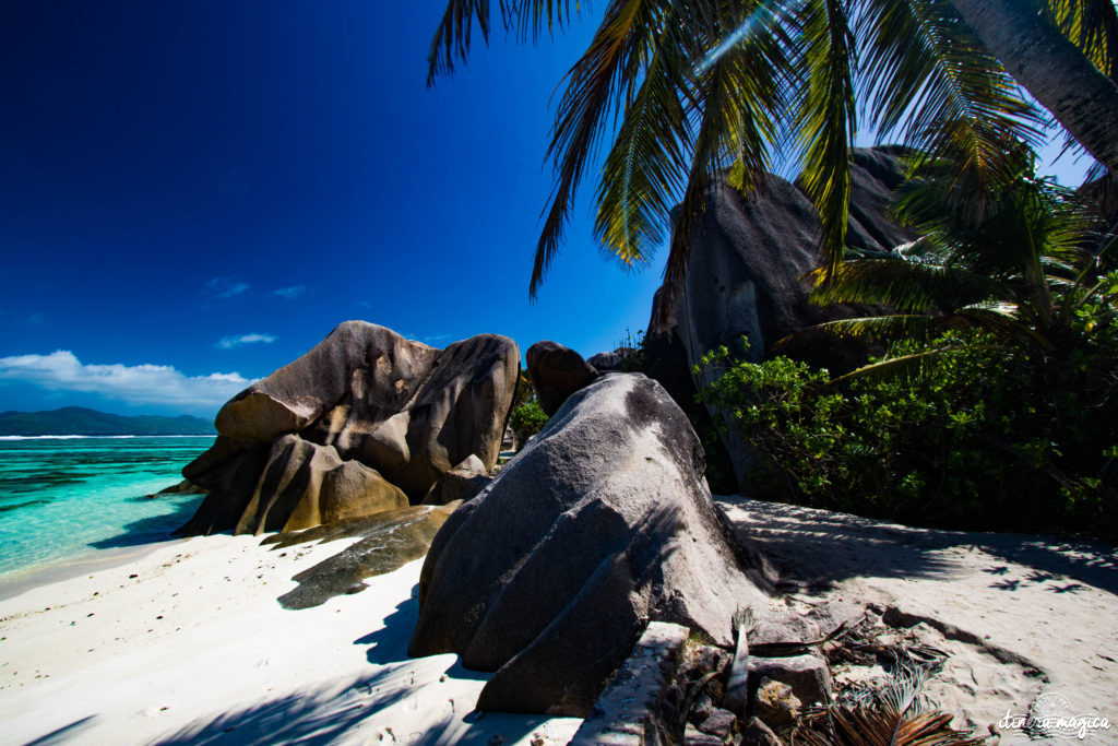 Seychelles: les plus belles plages du monde, des paysages paradisiaques, des tortues géantes, une faune et une flore uniques. Découvrez le paradis dans l'océan Indien !