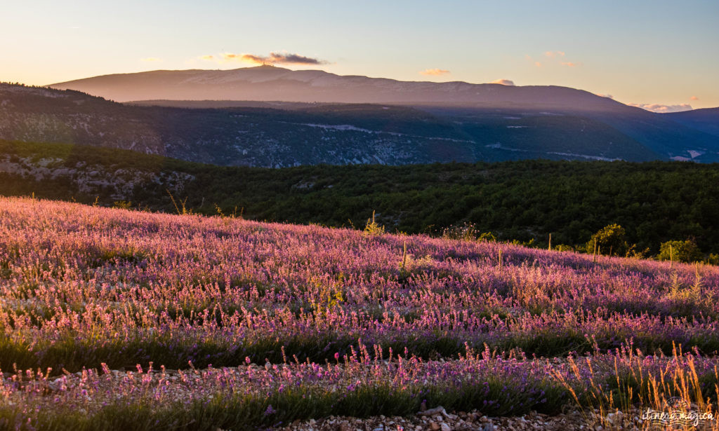 Mes plus beaux coins de Provence : à l'occasion de la parution de mon livre sur la Provence, je vous parle des plus beaux endroits de Provence. 