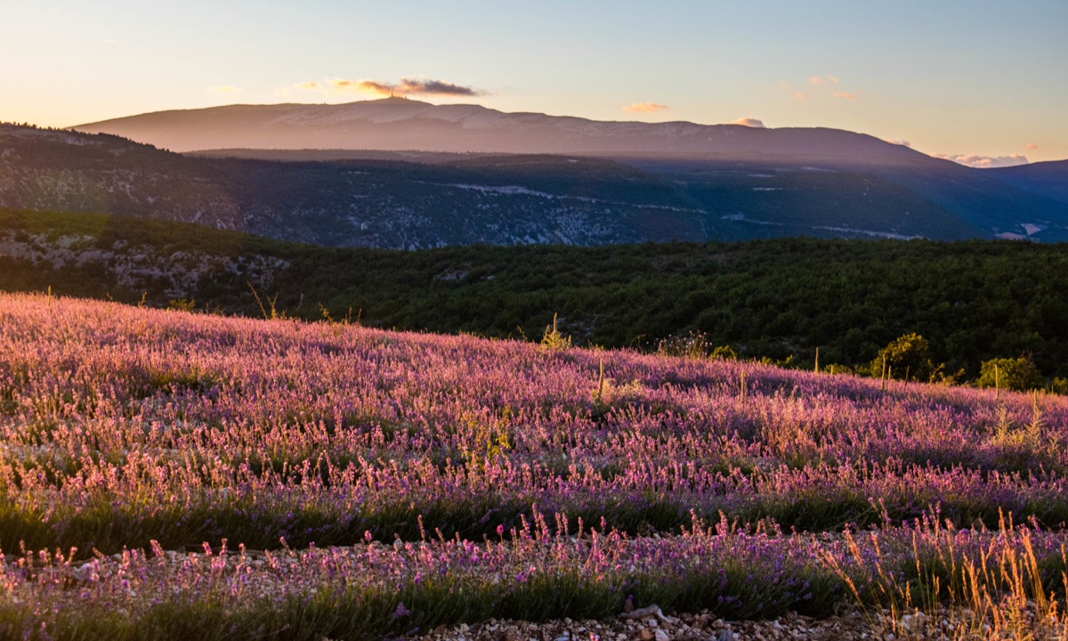 Road trip en Haute Provence : lavandes de la Drôme et des Baronnies, Sisteron, Serre-Ponçon. Blog de Provence