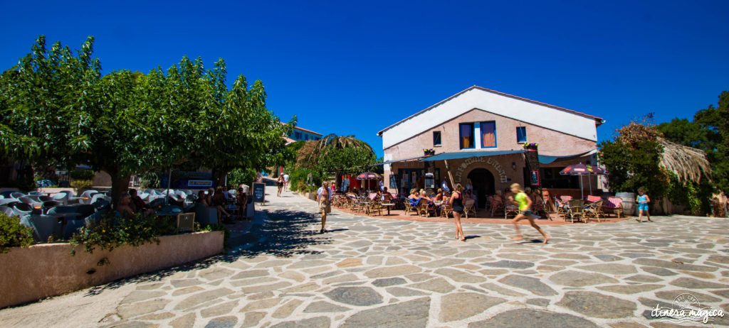 Découvrez l'ïle du Levant, un paradis méditerranéen préservé au large d'Hyères. Criques rocheuses à l'eau turquoise, village bohème d'artistes, végétation luxuriante, cette île naturiste est irrésistiblement exotique. Découvrez Le Levant sur le blog Itinera Magica ! 