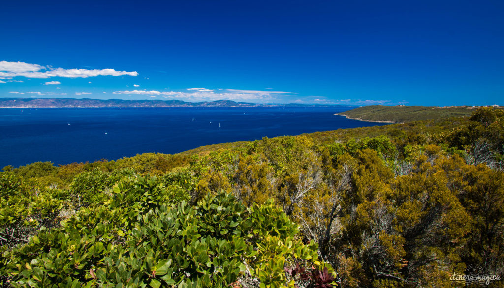 Découvrez l'ïle du Levant, un paradis méditerranéen préservé au large d'Hyères. Criques rocheuses à l'eau turquoise, village bohème d'artistes, végétation luxuriante, cette île naturiste est irrésistiblement exotique. Découvrez Le Levant sur le blog Itinera Magica ! 