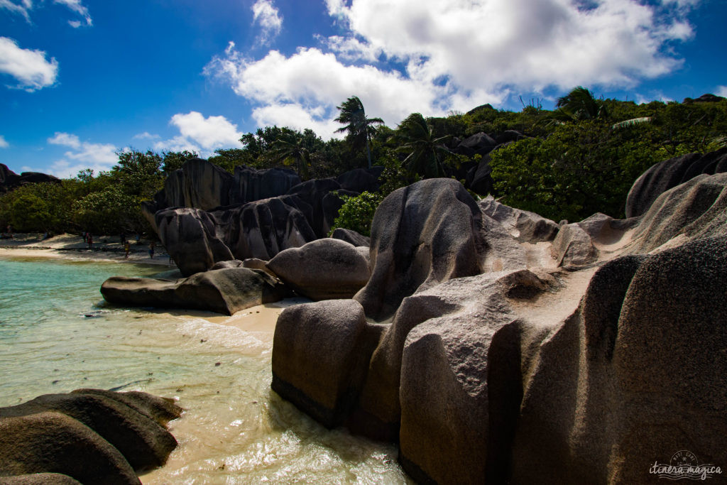 Seychelles: les plus belles plages du monde, des paysages paradisiaques, des tortues géantes, une faune et une flore uniques. Découvrez le paradis dans l'océan Indien !