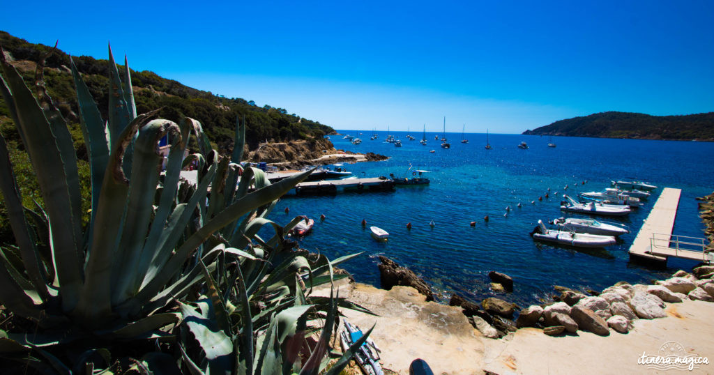 Découvrez l'ïle du Levant, un paradis méditerranéen préservé au large d'Hyères. Criques rocheuses à l'eau turquoise, village bohème d'artistes, végétation luxuriante, cette île naturiste est irrésistiblement exotique. Découvrez Le Levant sur le blog Itinera Magica ! 