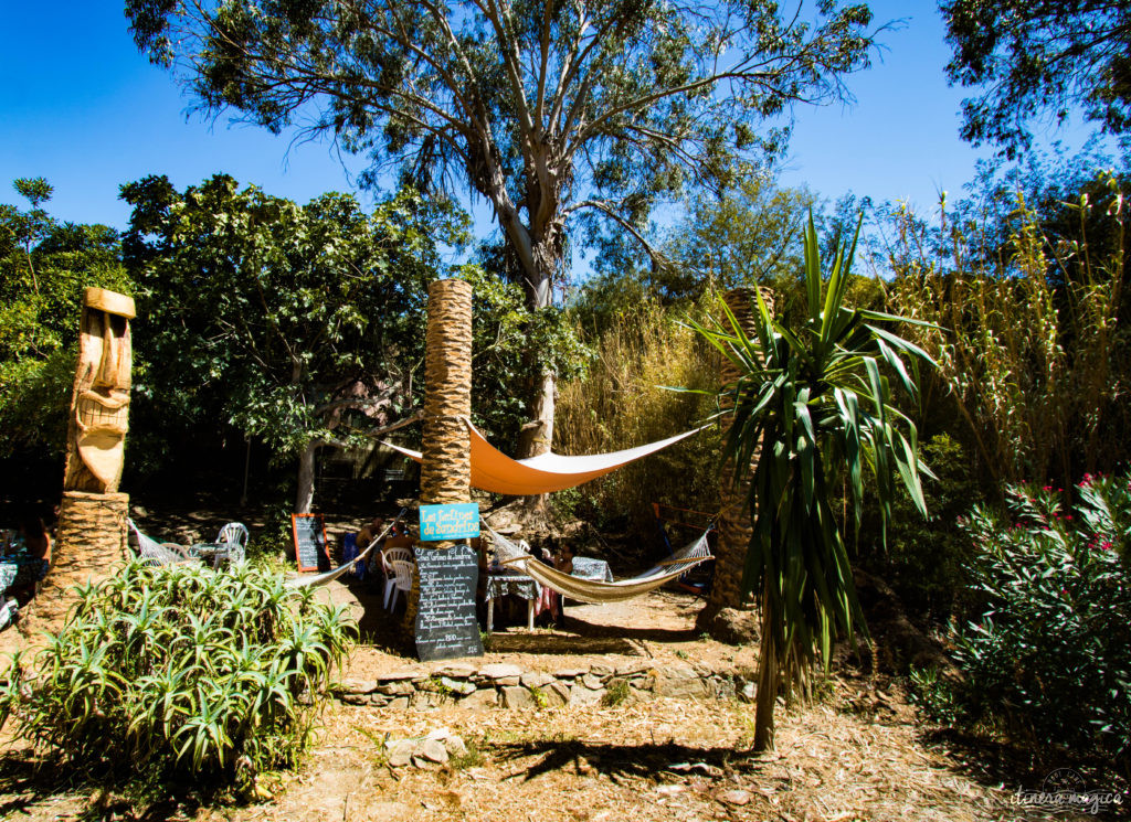 Better than a nudist beach in France : a nudist island on the French Riviera ! Welcome to Le Levant, a naturist paradise in Provence.