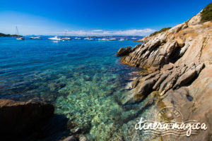 Secret paradise: Europe’s only nudist island, Le Levant - Itinera