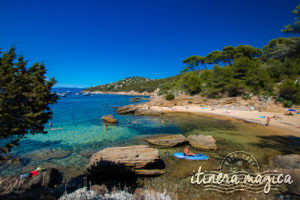 Secret paradise: Europe’s only nudist island, Le Levant - Itinera