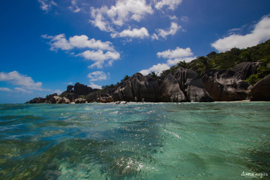 Seychelles: les plus belles plages du monde, des paysages paradisiaques, des tortues géantes, une faune et une flore uniques. Découvrez le paradis dans l'océan Indien !