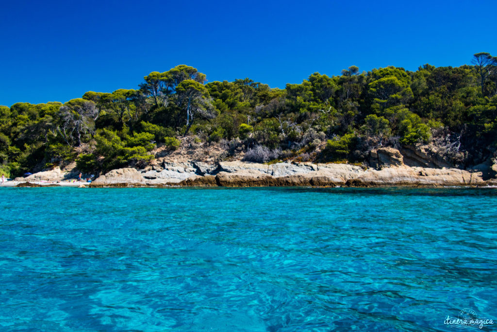 Les plus belles excursions en bateau depuis Hyères : découvrez Port-Cros ou Porquerolles, partez observer les dauphins, dénichez des plages secrètes, savourez la Côte d'Azur