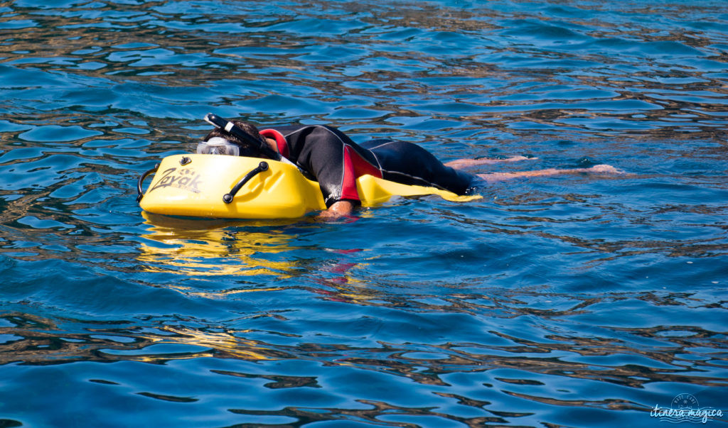 Les plus belles excursions en bateau depuis Hyères : découvrez Port-Cros ou Porquerolles, partez observer les dauphins, dénichez des plages secrètes, savourez tous les charmes de la Côte d'Azur. Un guide complet sur Itinera Magica