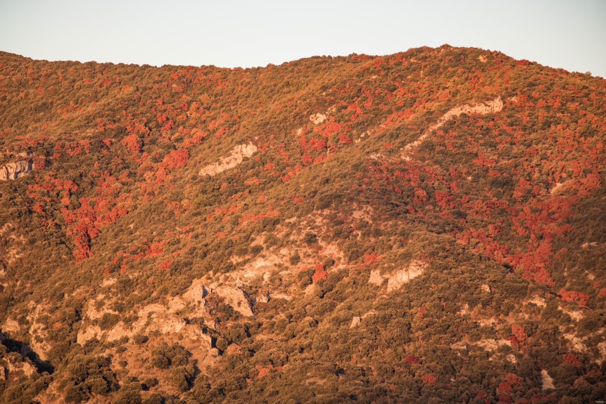 monts d'ardèche défilé de donzère