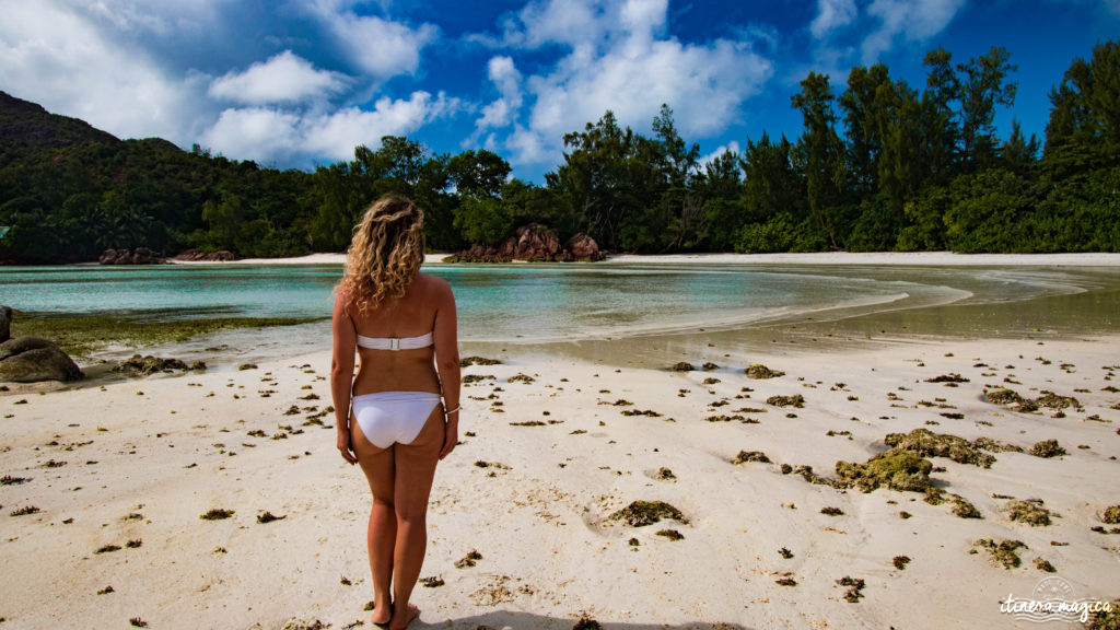 Seychelles: les plus belles plages du monde, des paysages paradisiaques, des tortues géantes, une faune et une flore uniques. Découvrez le paradis dans l'océan Indien !