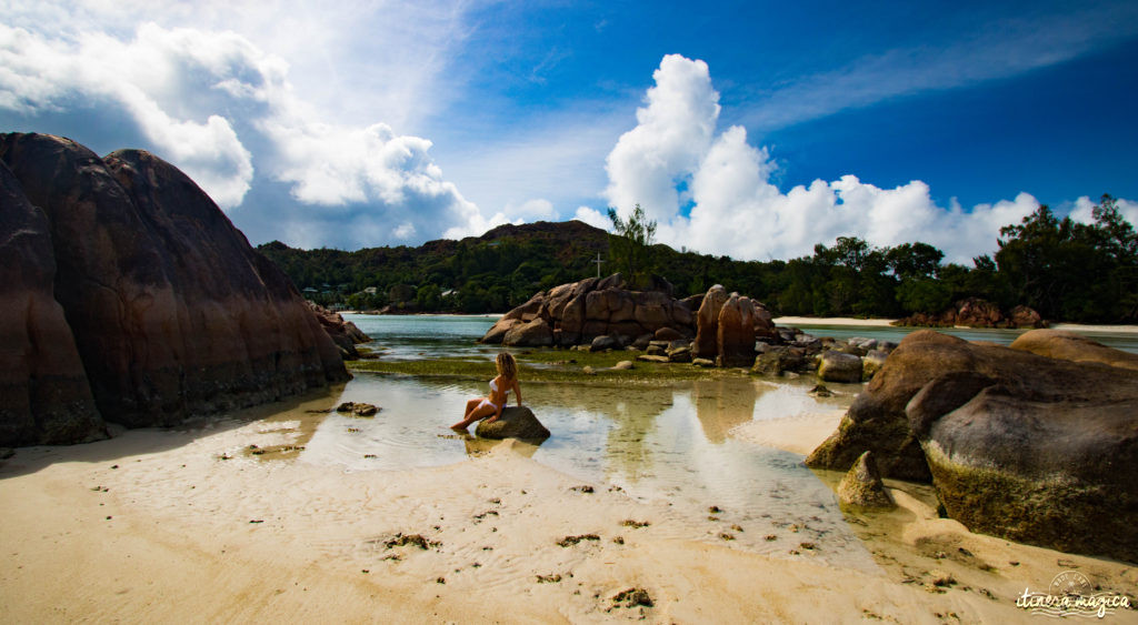 Seychelles: les plus belles plages du monde, des paysages paradisiaques, des tortues géantes, une faune et une flore uniques. Découvrez le paradis dans l'océan Indien !