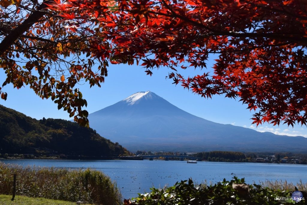 Où voir les couleurs d'automne, en Europe, au Japon, au Québec et ailleurs ? Les plus belles couleurs de l'automne par les blogueurs de voyage, pour des voyages chatoyants. #automne 